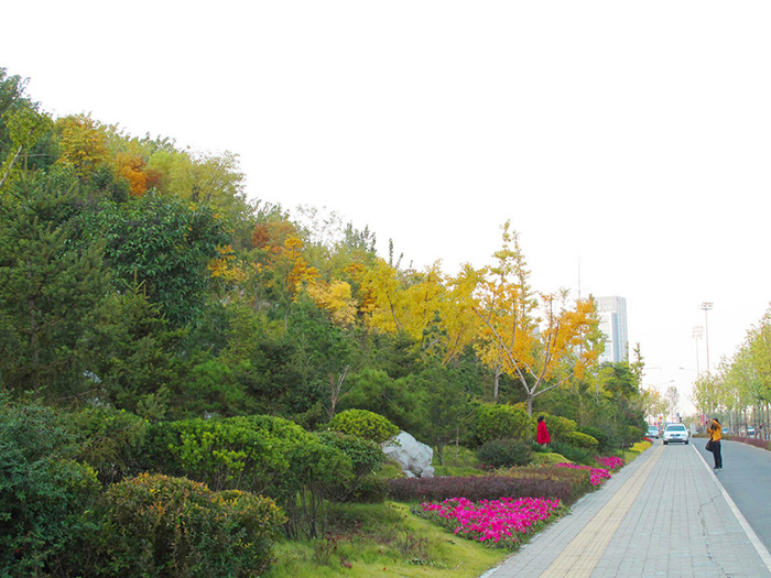 实景照片03.jpg