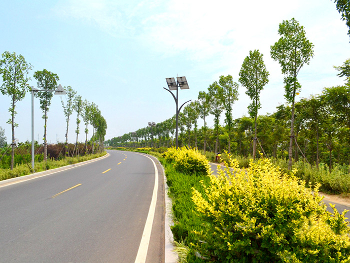 大沽河01.jpg