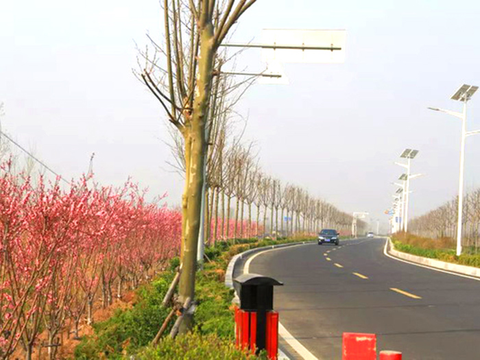 大沽河04.jpg