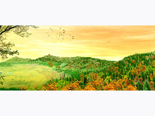 长清北大山绿化设计