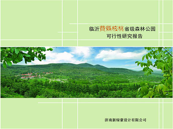 临沂费县核桃省级森林公园可研报告