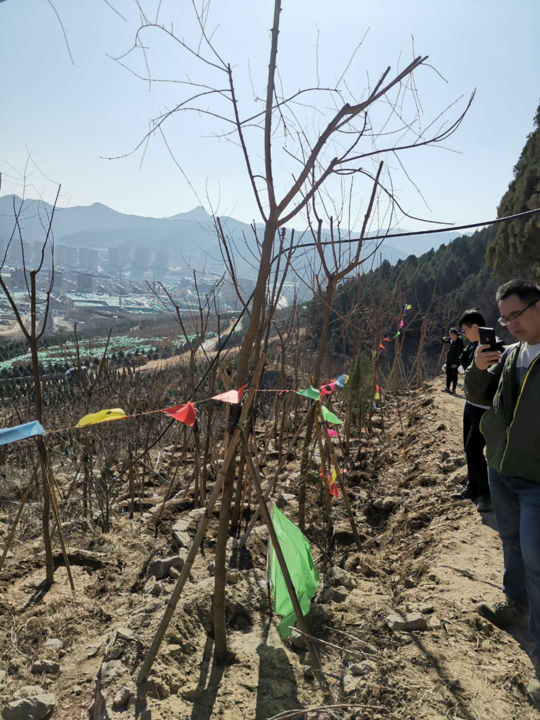 微信图片_20190403134903.jpg