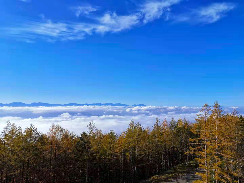微信图片_20191112131117.jpg
