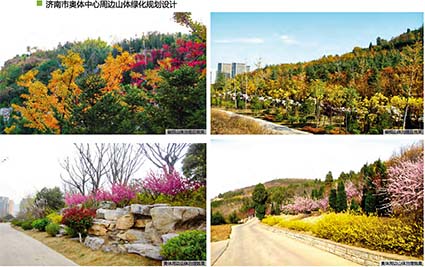 奥体周边山体.jpg