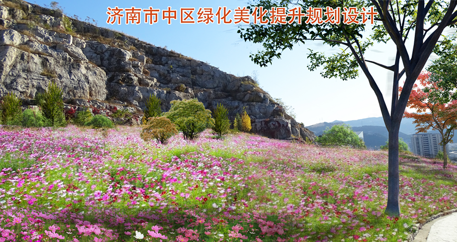 济南市中区绿化美化提升规划设计
