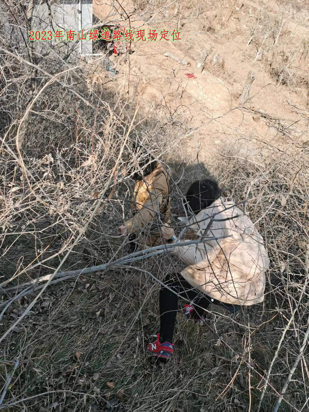 南山绿道规划设计项目