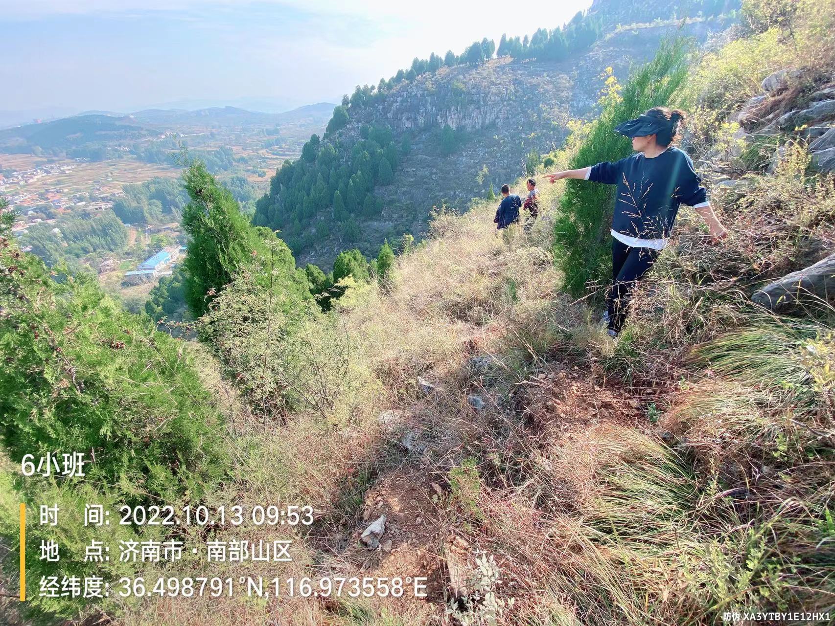 荒山造林验收项目