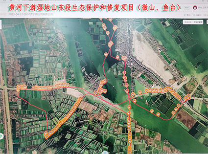 微山岛生态保护和修复规划设计