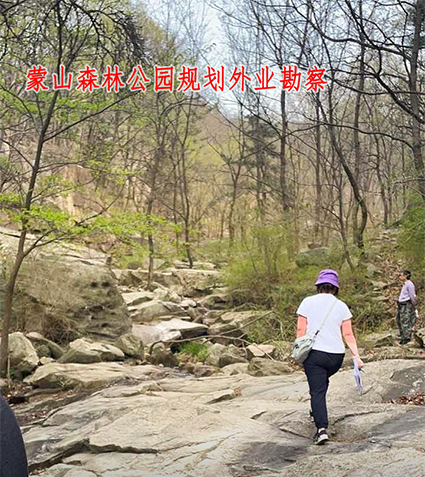  蒙阴蒙山森林公园规划设计
