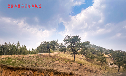 岱崮森公园总规外业-1.png