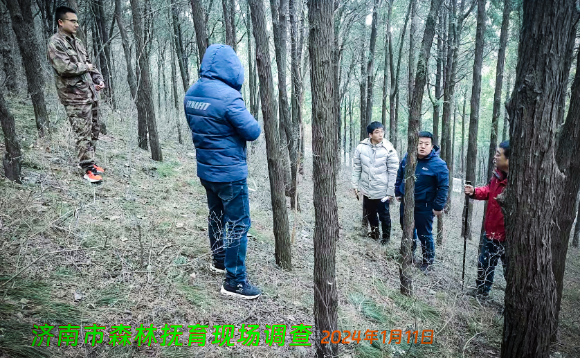 济南市森林抚育现场调查