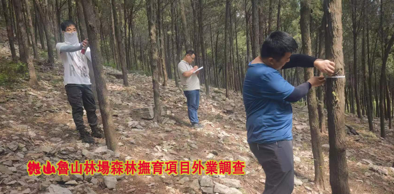 森林抚育规划设计项目外业调查